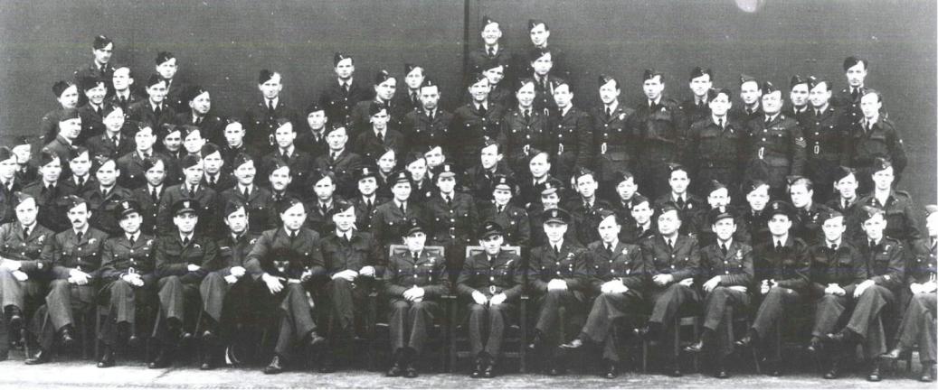 漂泊的鱼完整版,漂泊的鱼鹰