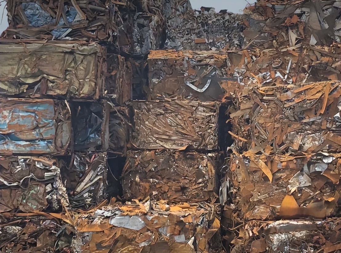 世上再无黄药师，创业别等老再悔