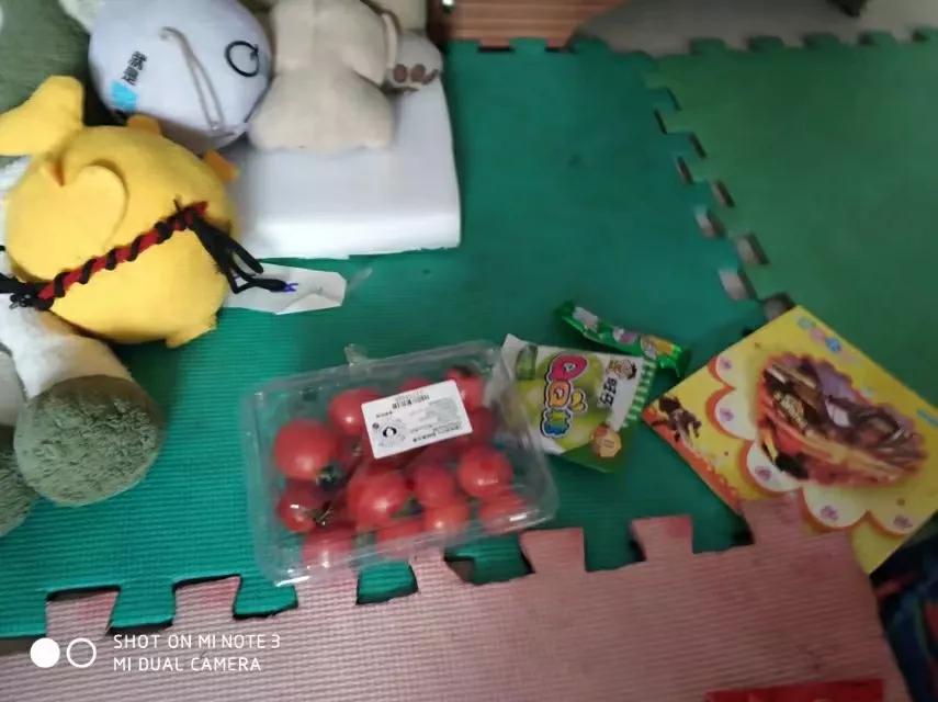 2024年迎新年活动方案,2023迎新年活动主题