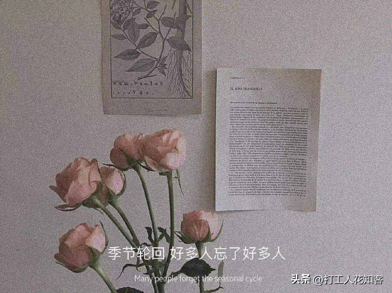 等待摩西表达了什么,等待摩西讲了什么