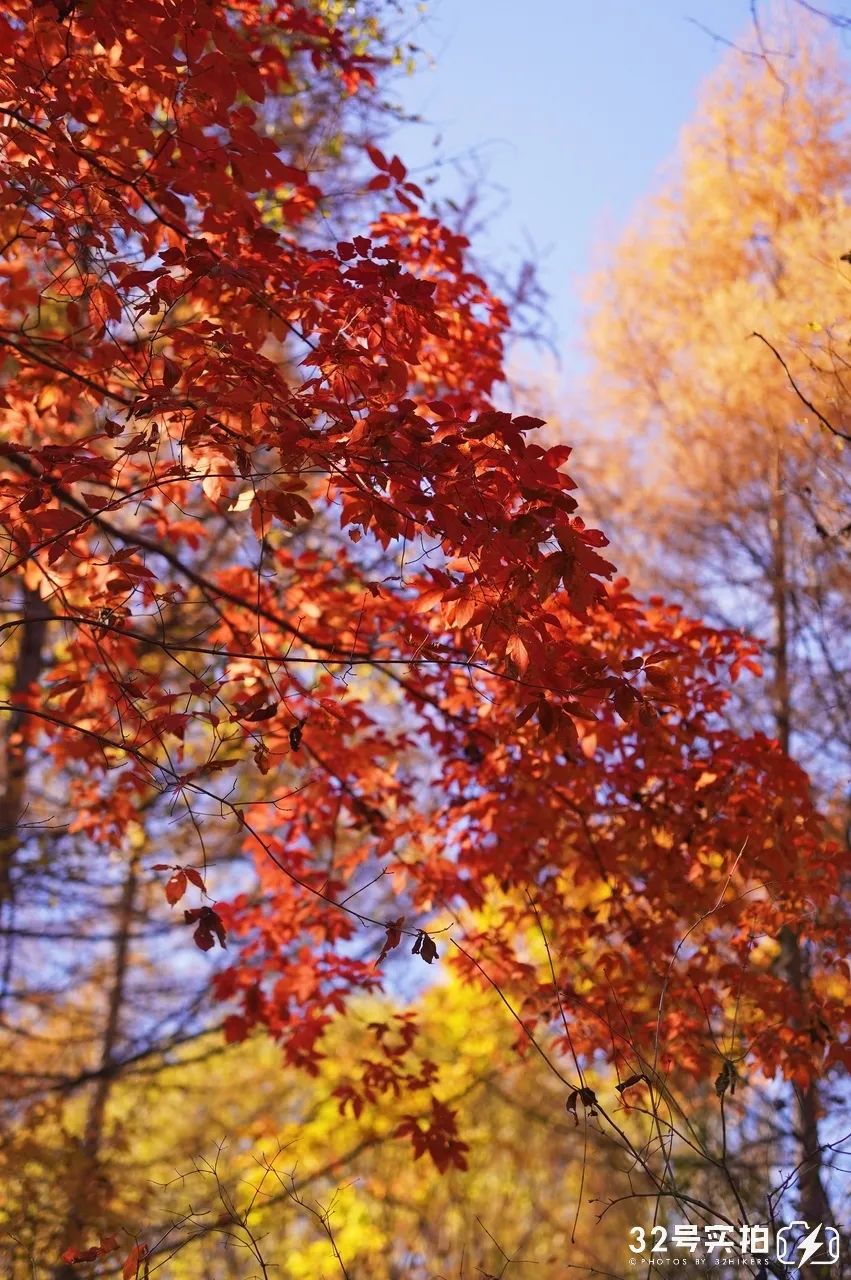 长白山的秋季,长白山夏天和秋天的区别