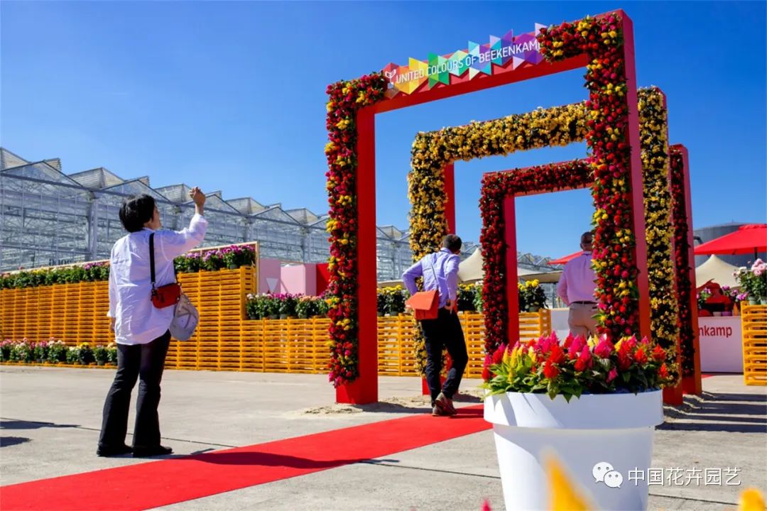 鑺卞崏鍝佺灞曠ず,鏂颁紭鑺卞崏鍝佺灞曠ず