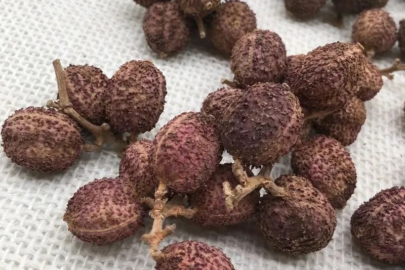 姜类香辛料都包含哪些种,12种必须了解的香料作用和用量