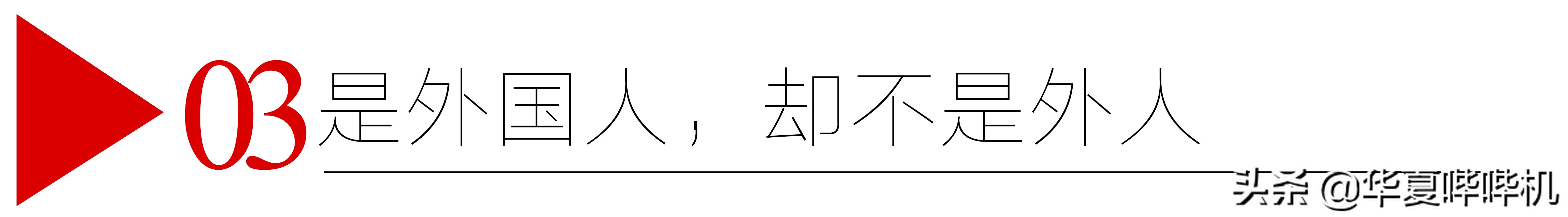 “中国通”大山的走红，和他回国的真相