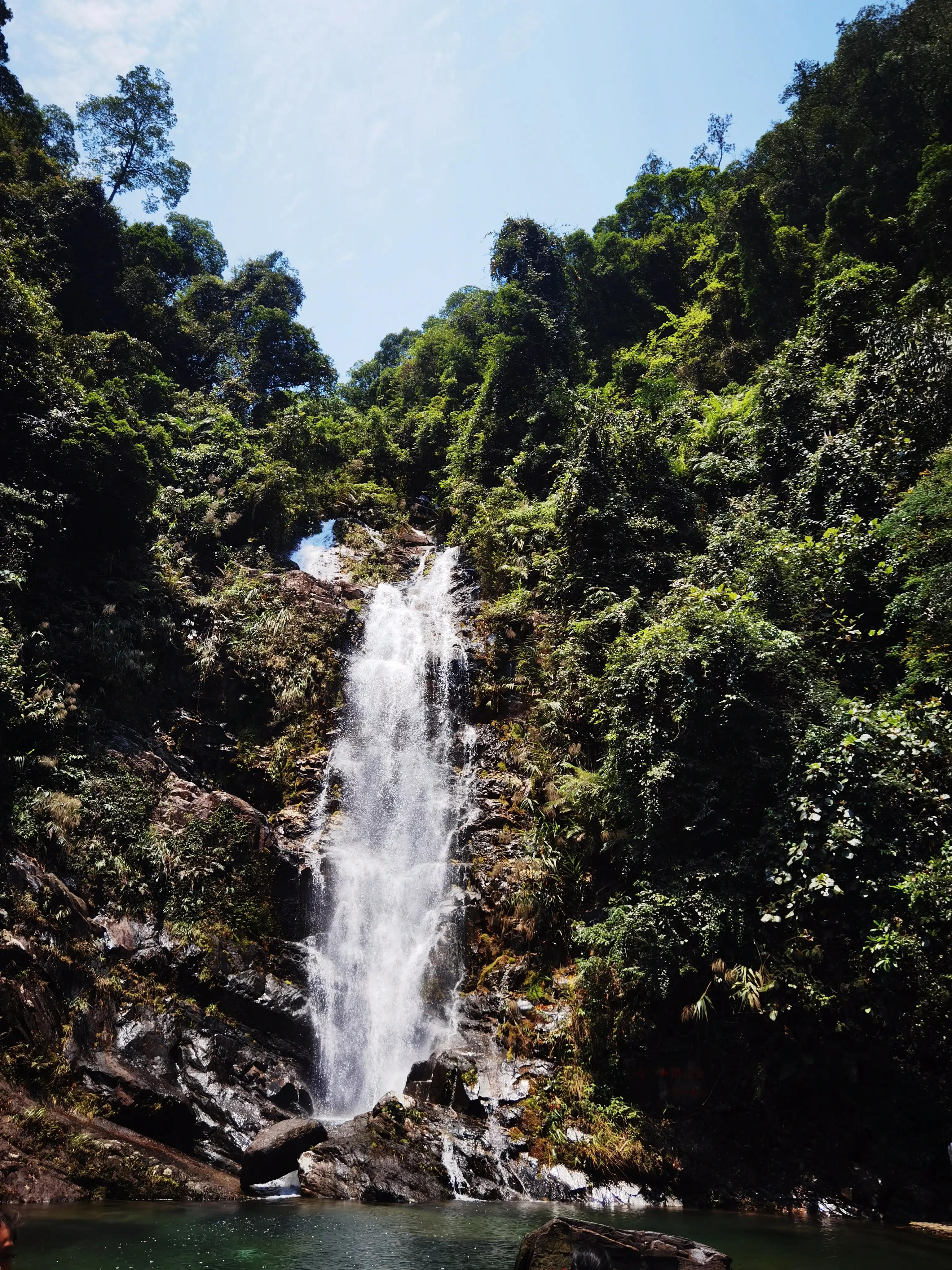 五一推荐去鼎湖山吗,鼎湖五一游攻略