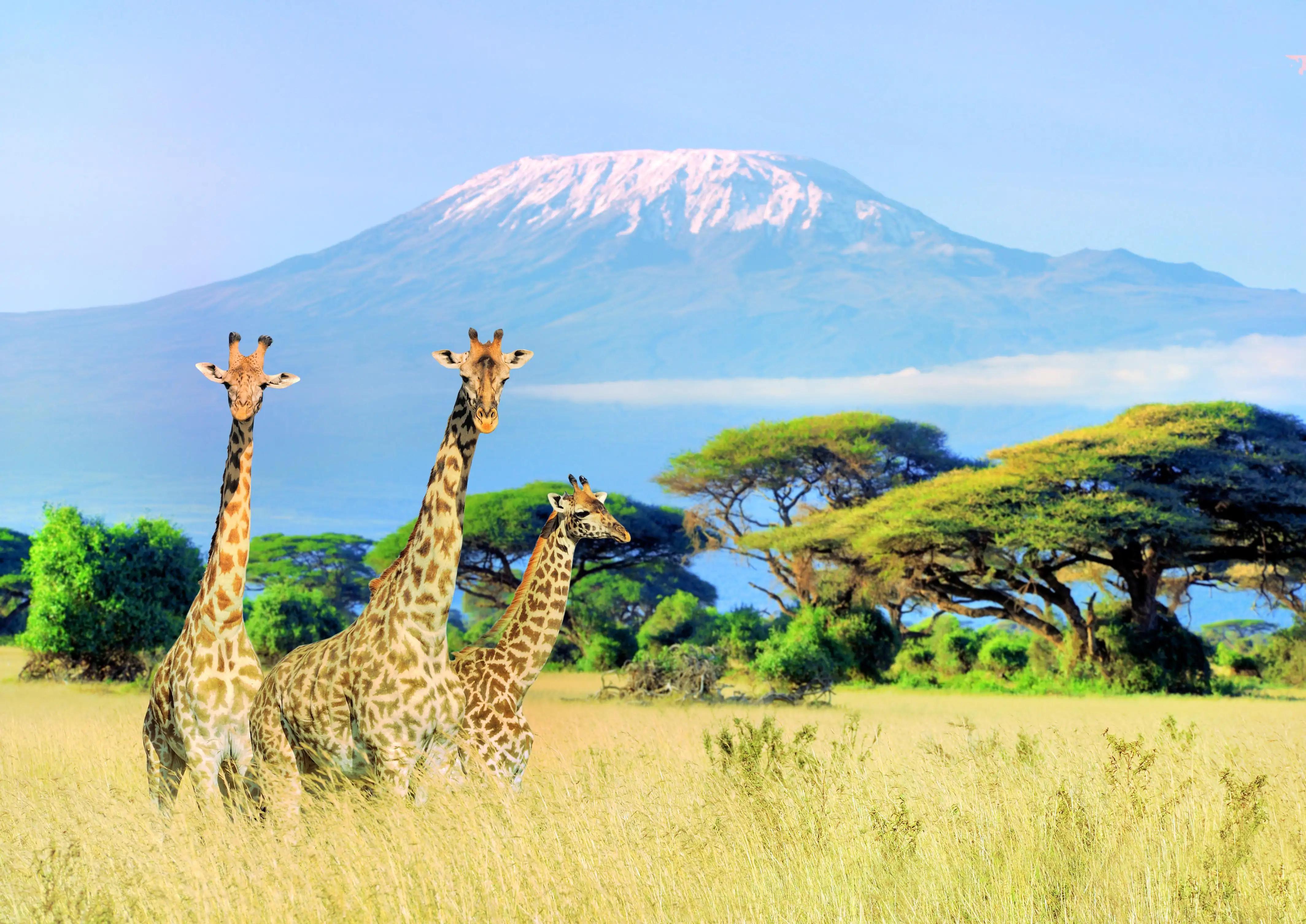 中国同意坦桑尼亚港口了吗,还会帮助坦桑尼亚修建港口吗