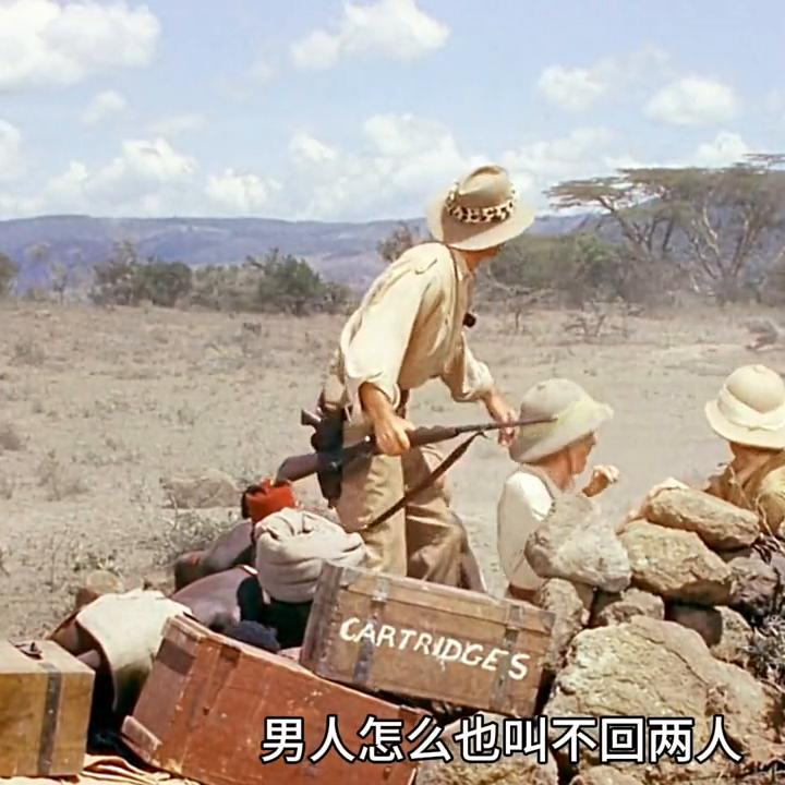 危险的非洲探险之旅#大象