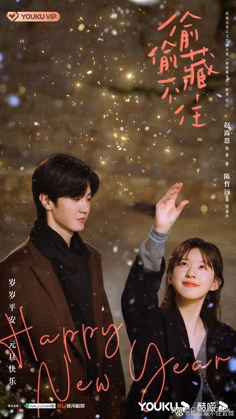 2020年评分超高的国产爱情剧,2023年已播国产剧推荐