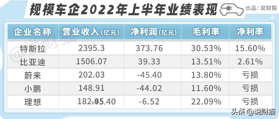 国产电车在欧洲卖爆了,中国电车亏本吗