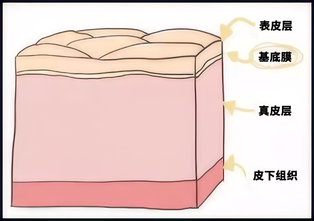 hiv感染数据,破皮伤口会感染hiv么