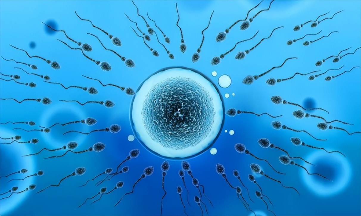 31岁医学博士患癌去世捐出器官,31岁医学博士病逝器官捐献