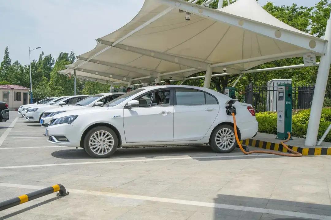 健康下午茶丨进口水果新冠病毒核酸检测呈阳性，还能放心买吗？