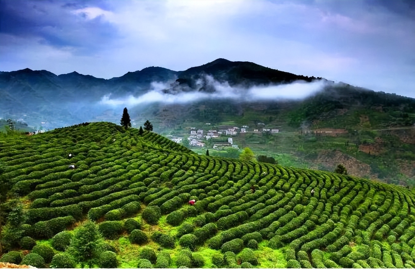 信阳人说话为什么不像河南人,最不像河南人的信阳人