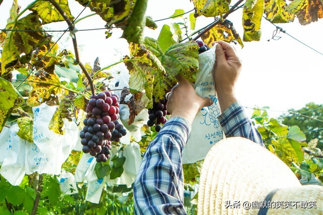 农村留住人才技巧,农民在农村该如何创业发展