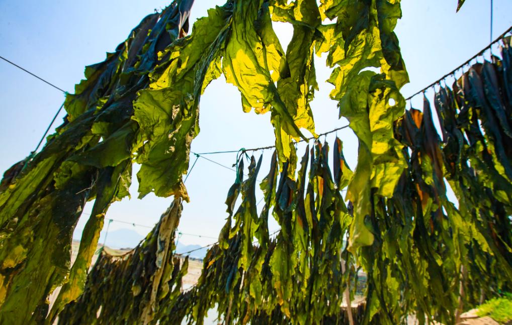 注意这8种女性容易被乳腺癌缠上,长期穿内衣对乳腺有损伤吗