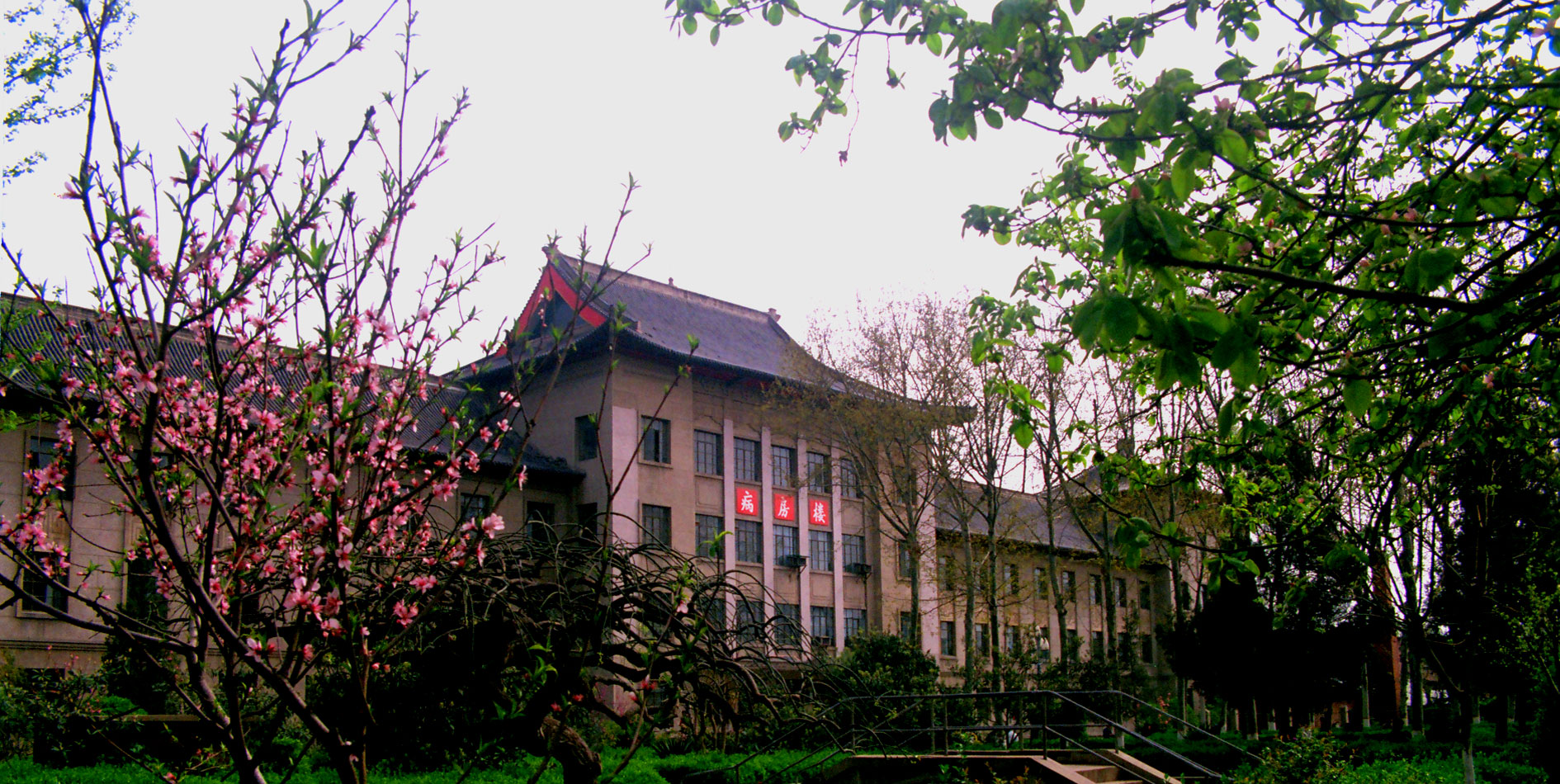 复旦大学医院声誉排行榜妇产科,2019复旦医院专科声誉排名江苏