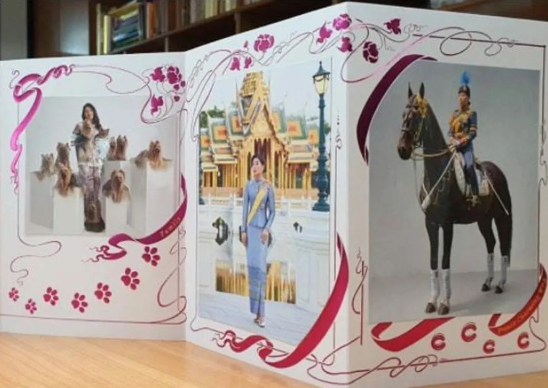 思蕊梵如期发布新年贺卡，一年比一年精致，“神兽公主”名不虚传