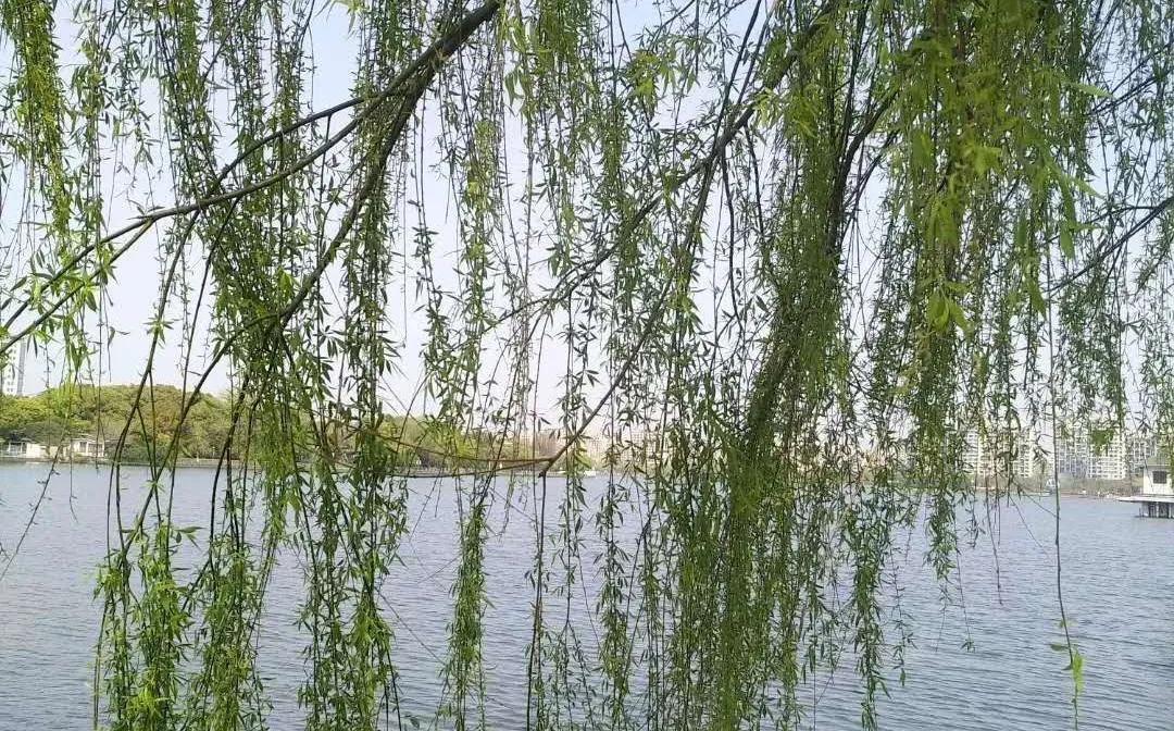 母亲是文盲沟通很困难,妈妈是文盲想认字