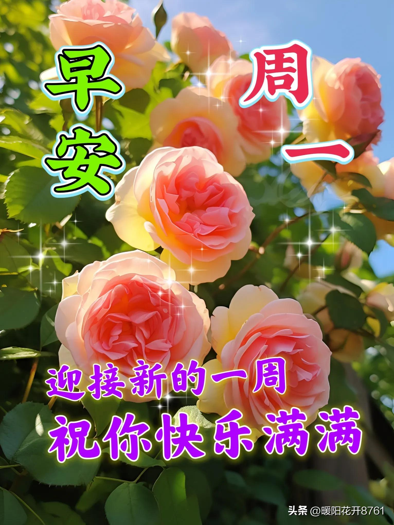 周一早安问候最新图片图文,周一早安问候语正能量简短图片