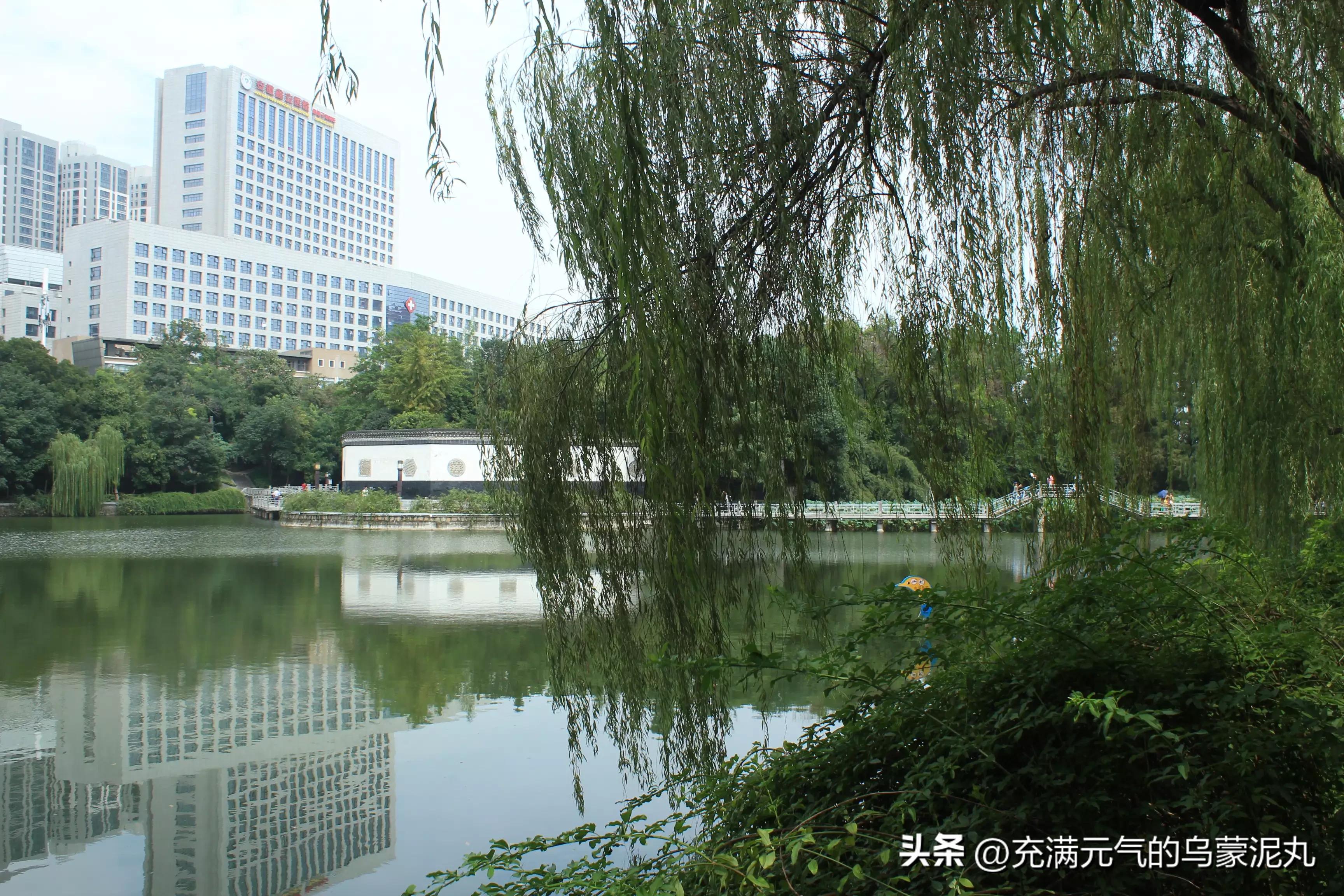 被保健品蛊惑的老人,被保健品骗的老人