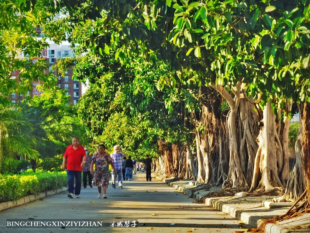 旅居海南,旅居式旅游生活海南