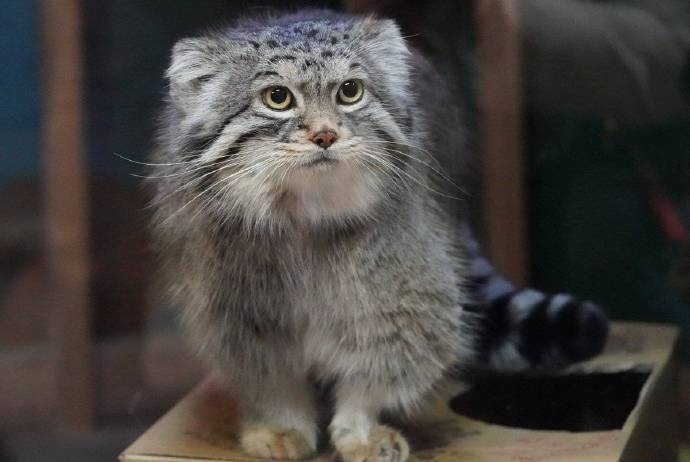 你知道内蒙古为啥不包邮吗,新疆内蒙为什么不包邮