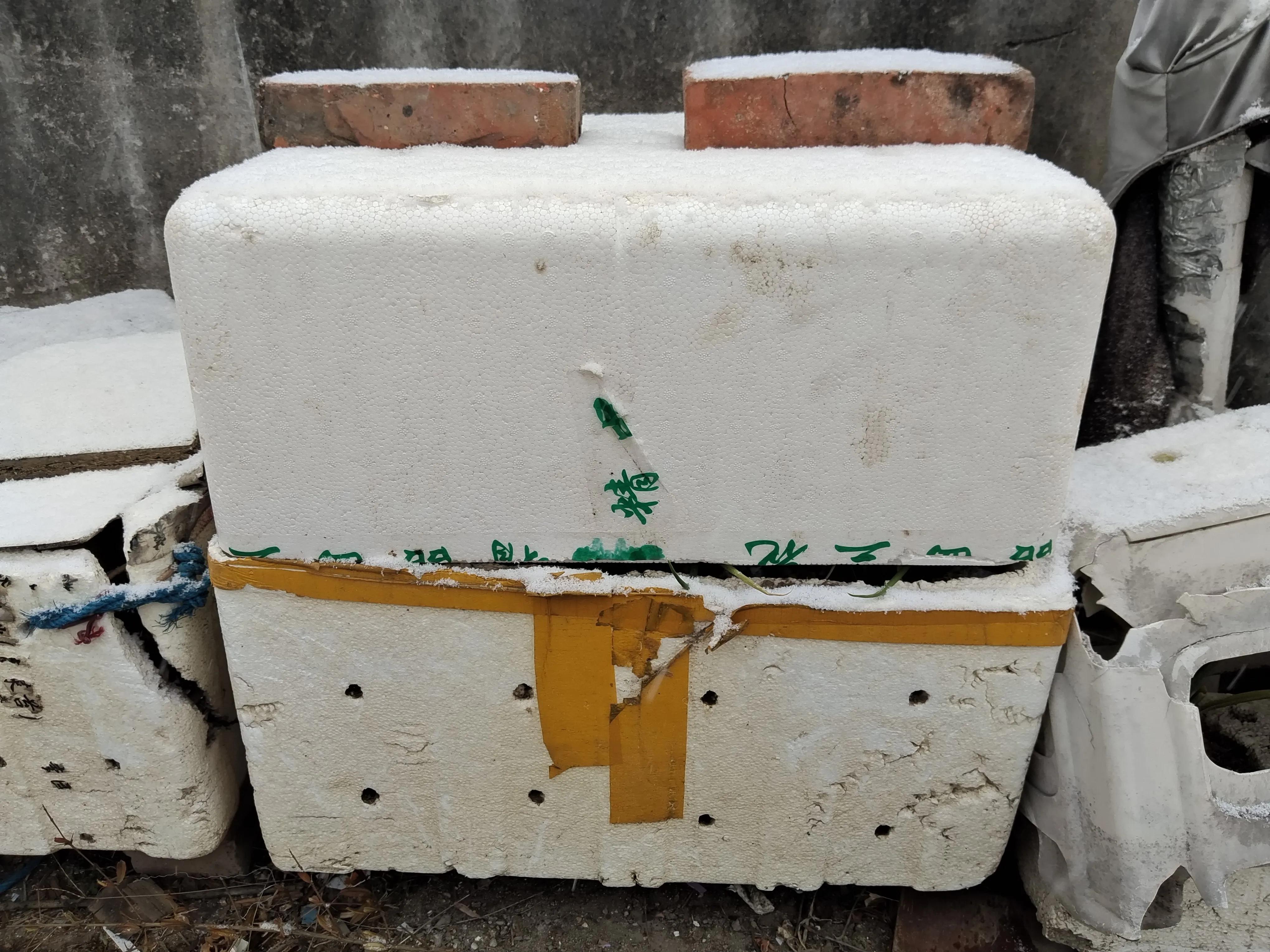 盆栽浇水十大禁忌,盆栽植物如何防止烂根