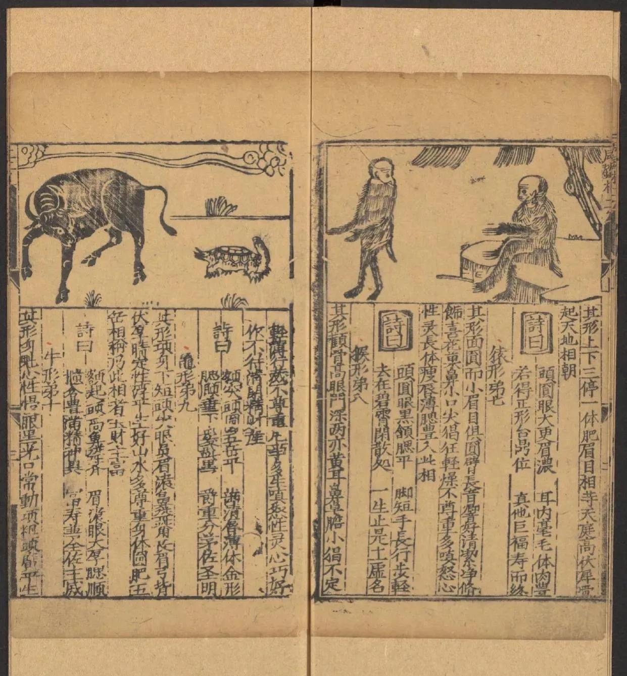 鎰熺煡鍘嗗彶鍝佸懗鏂囧寲缁忓吀,楹荤鐩告湳