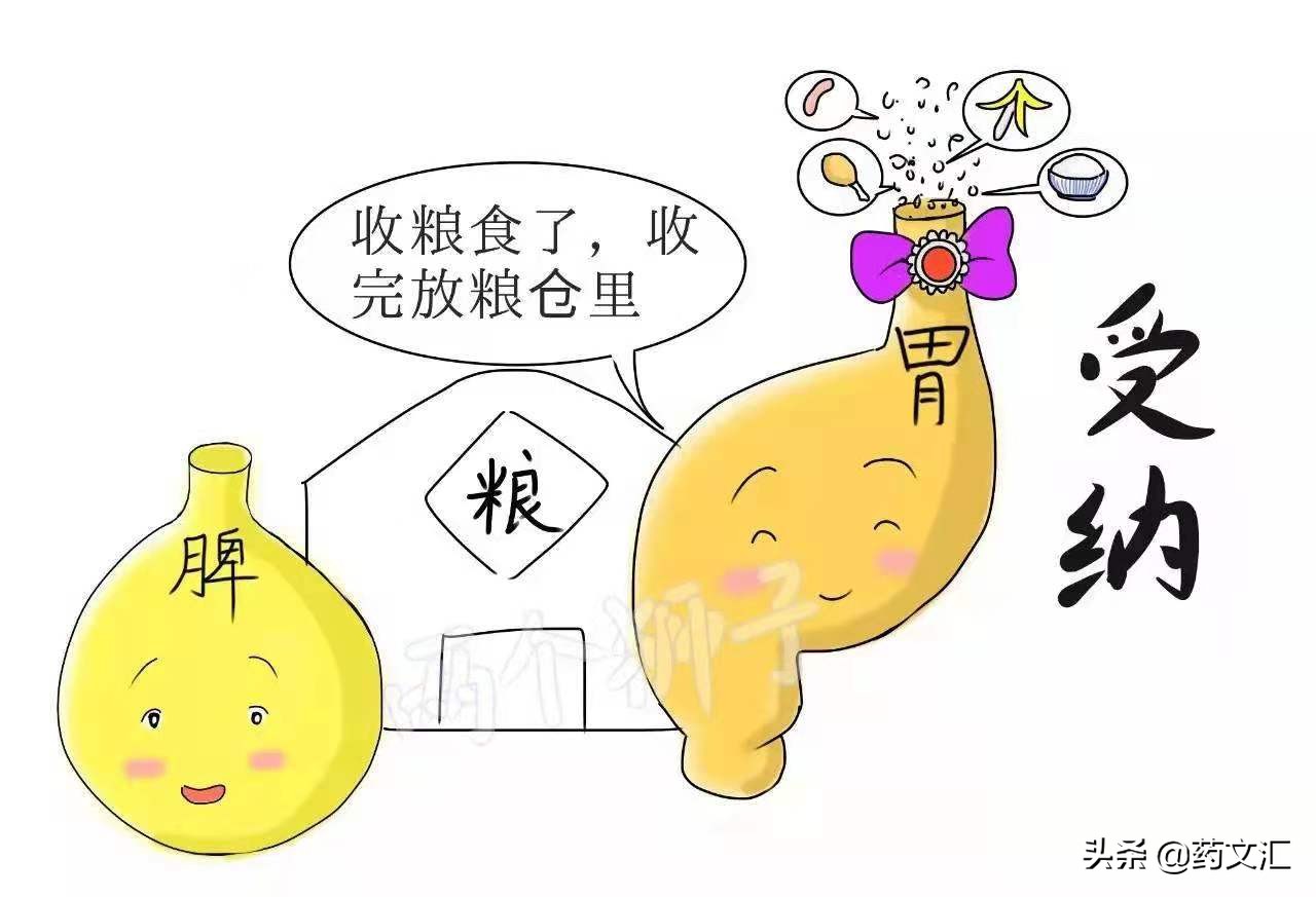 脾虚大便干燥还怕凉吃什么中成药,脾虚湿气重大便不通吃什么中成药