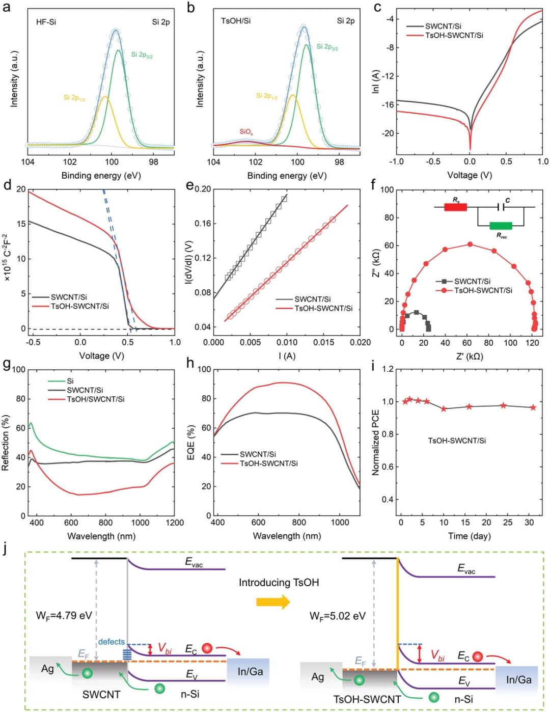 《AdvancedScience》发表常晶晶教授胡显刚博士研究成果