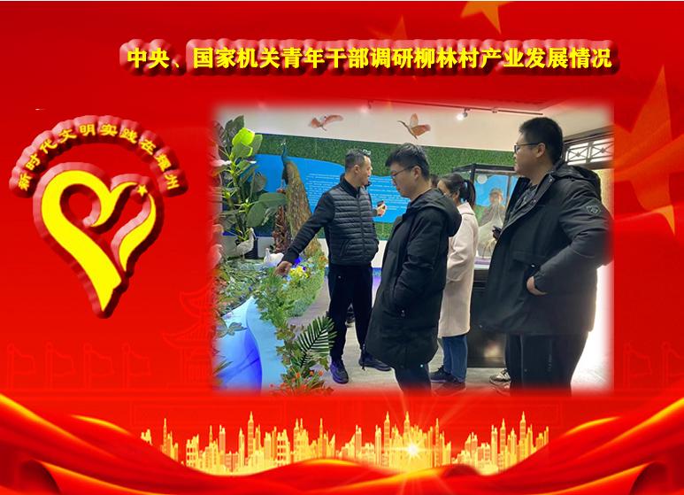 柳林村丰富多彩的元宵节文化生活,柳林村民俗文化节活动抖音