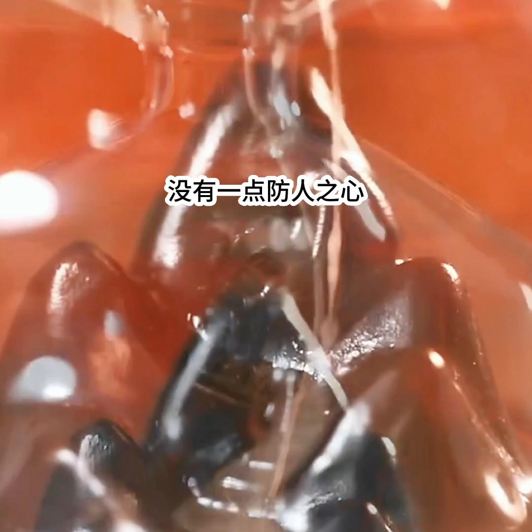 文荒推文一口气看完,文荒推文甜文