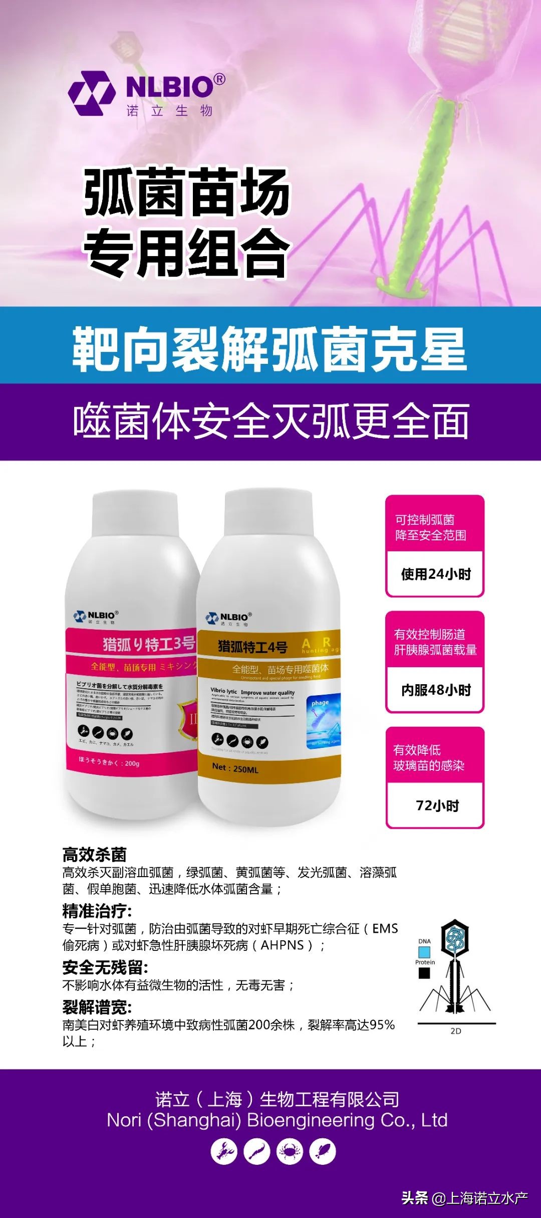 如何判断虾有没有弧菌了,为什么养虾弧菌越杀越多