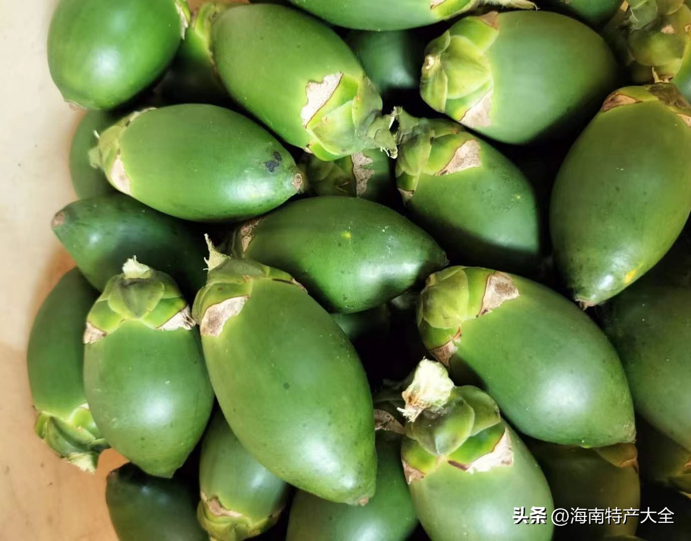 2021年2月3日海南槟榔价格 (今天海南槟榔价格多少一斤)