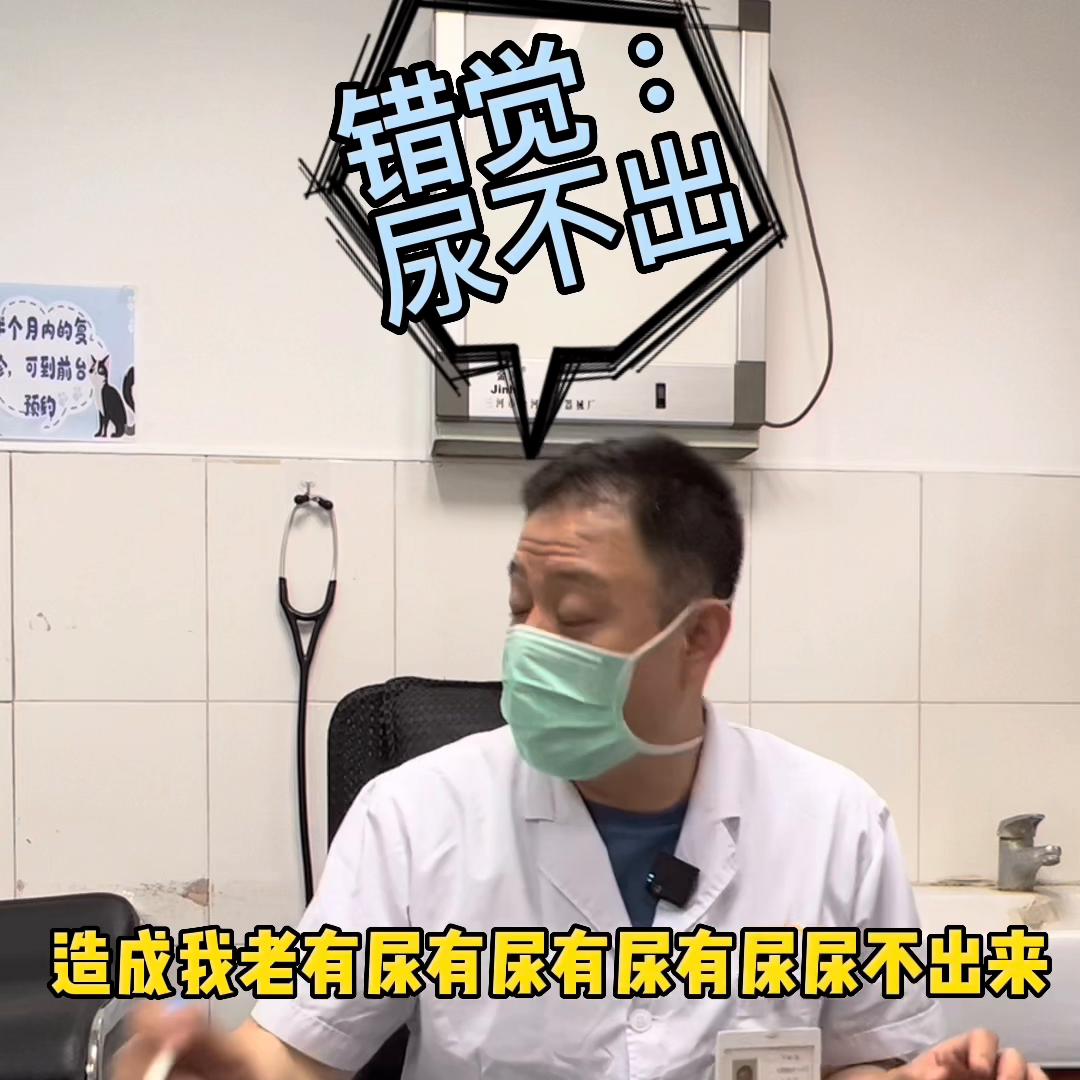 猫尿频和尿闭如何区分,猫尿频和尿闭跟猫粮有关系吗