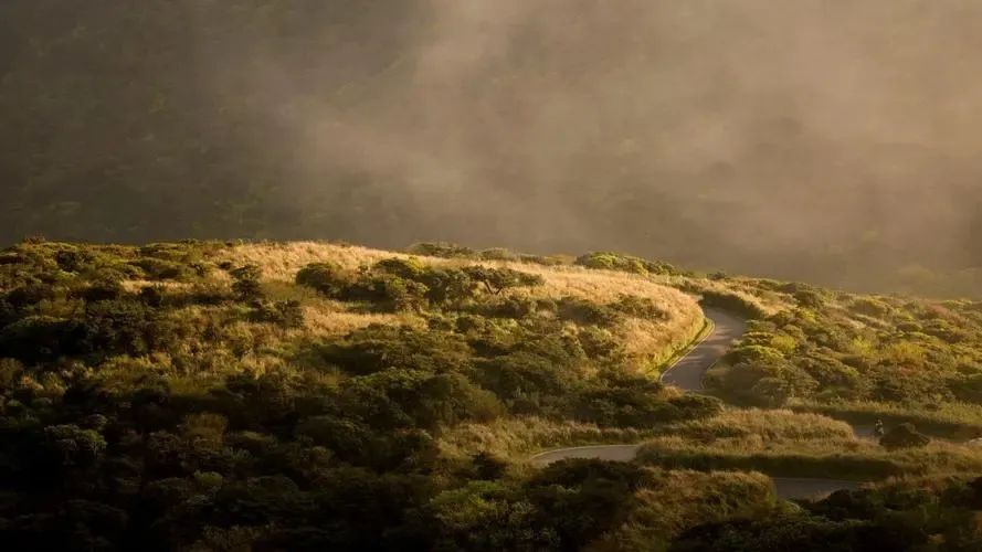 我学会了四年级下册第六单元作文,语文四年级第六单元习作我学会了