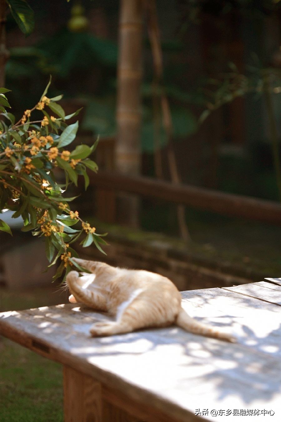 冬天最美的十种雅称,秋天的30个最美雅称你喜欢哪个