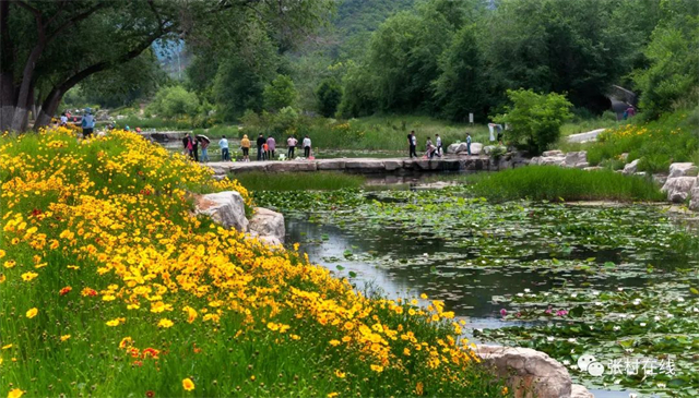 威海森林氧吧,夏天威海张村附近的公园
