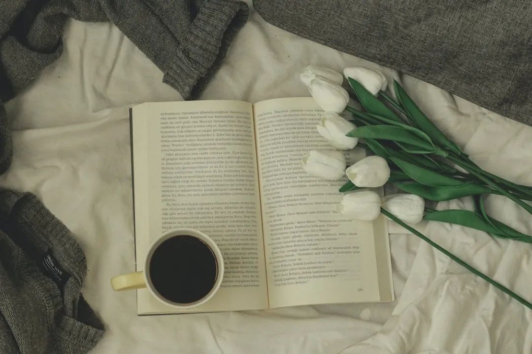 没有月亮的夜晚句子,没有月亮心里也一片皎洁