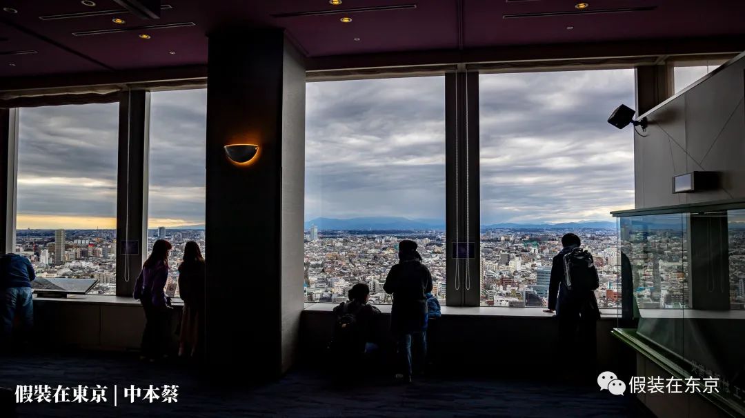 一个典型的日本中产社区长什么样？|世田谷区三轩茶屋