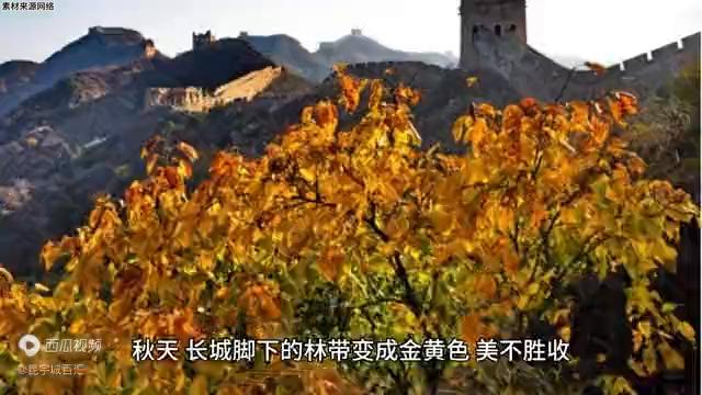 嘉峪关南市区未来5年的发展,甘肃嘉峪关市为什么发达