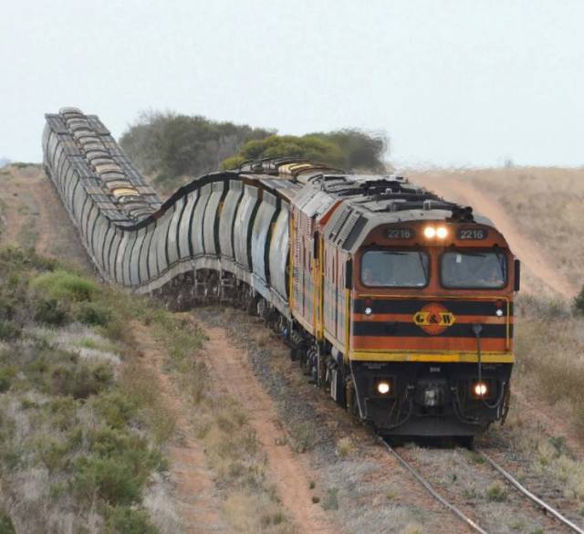 80个神奇的真实照片，不高兴的狗子，崎岖的铁路，倒立劈叉拉筋