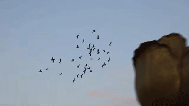 不用出国在深圳看到的美景,深圳有什么景点去看的不要钱的