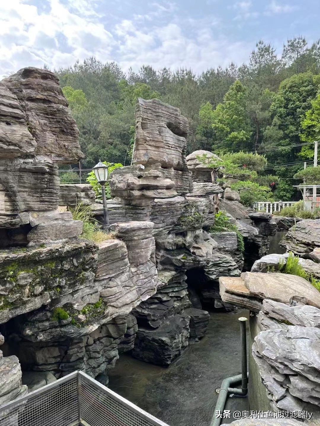 锦鲤鱼池清洗方法,鱼池里锦鲤总是死