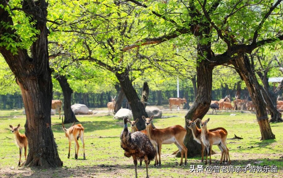 2023西安亲子游景区大全，30多个遛娃宝地，很多都免费