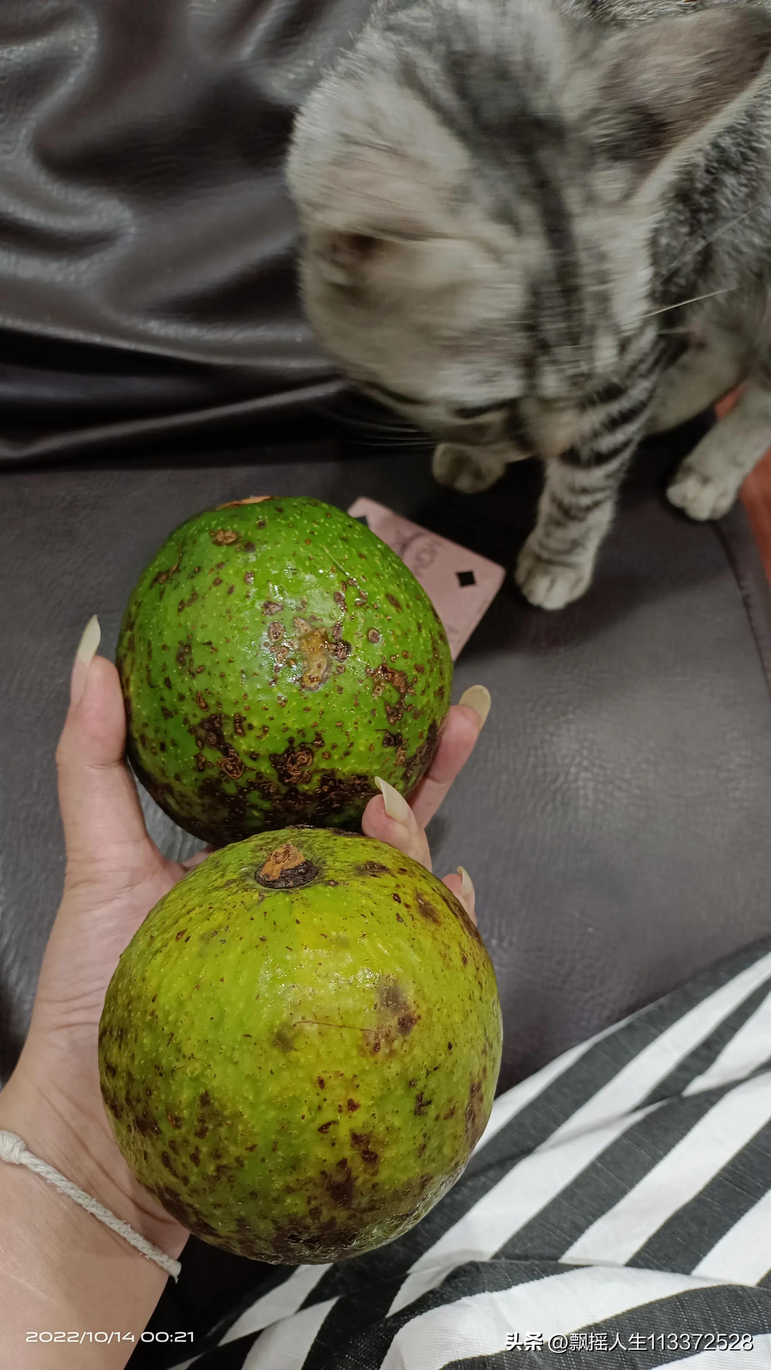 泰国生活日记3上篇,泰国生活日记第11集