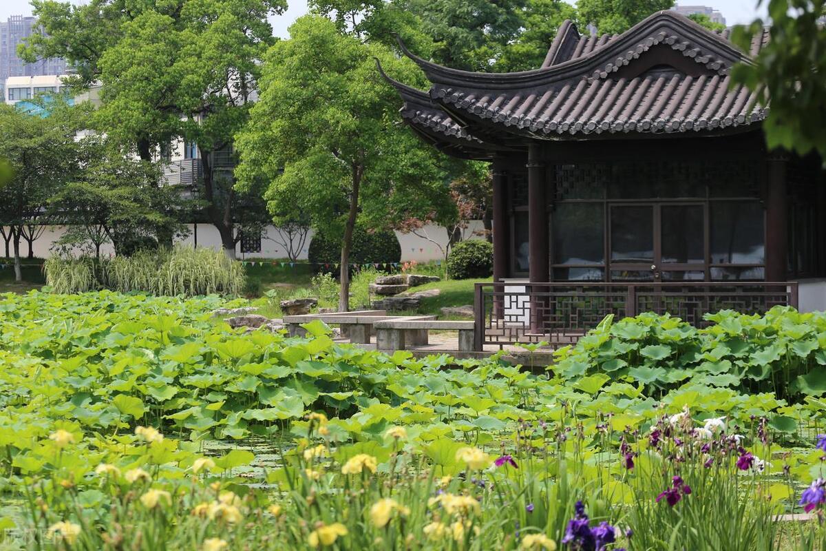 南京旅游攻略景点必去免门票,南京免费游玩景点推荐攻略