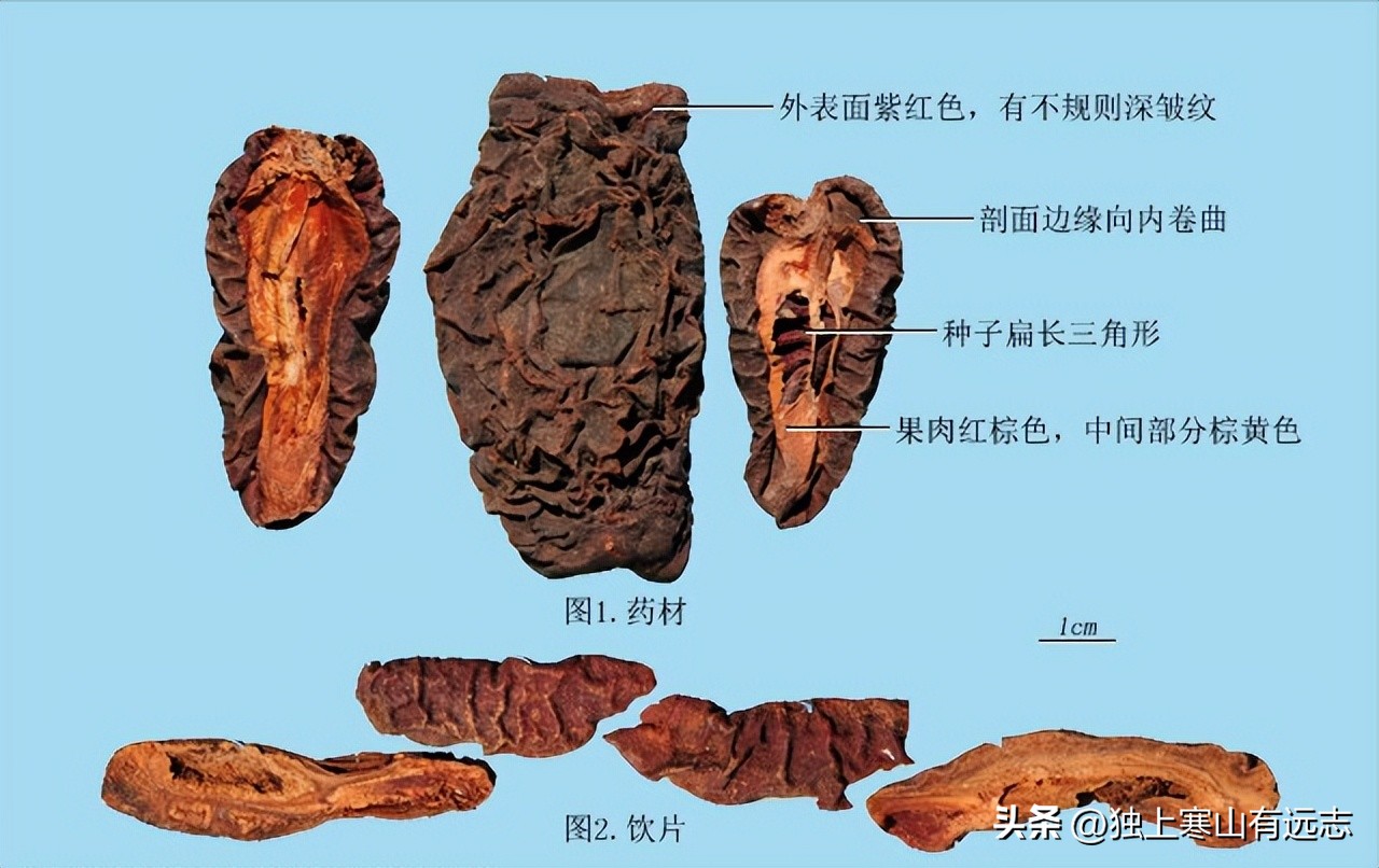 饮食里的中药之木瓜和甜瓜：舒筋活络、涌吐痰食、祛湿退黄