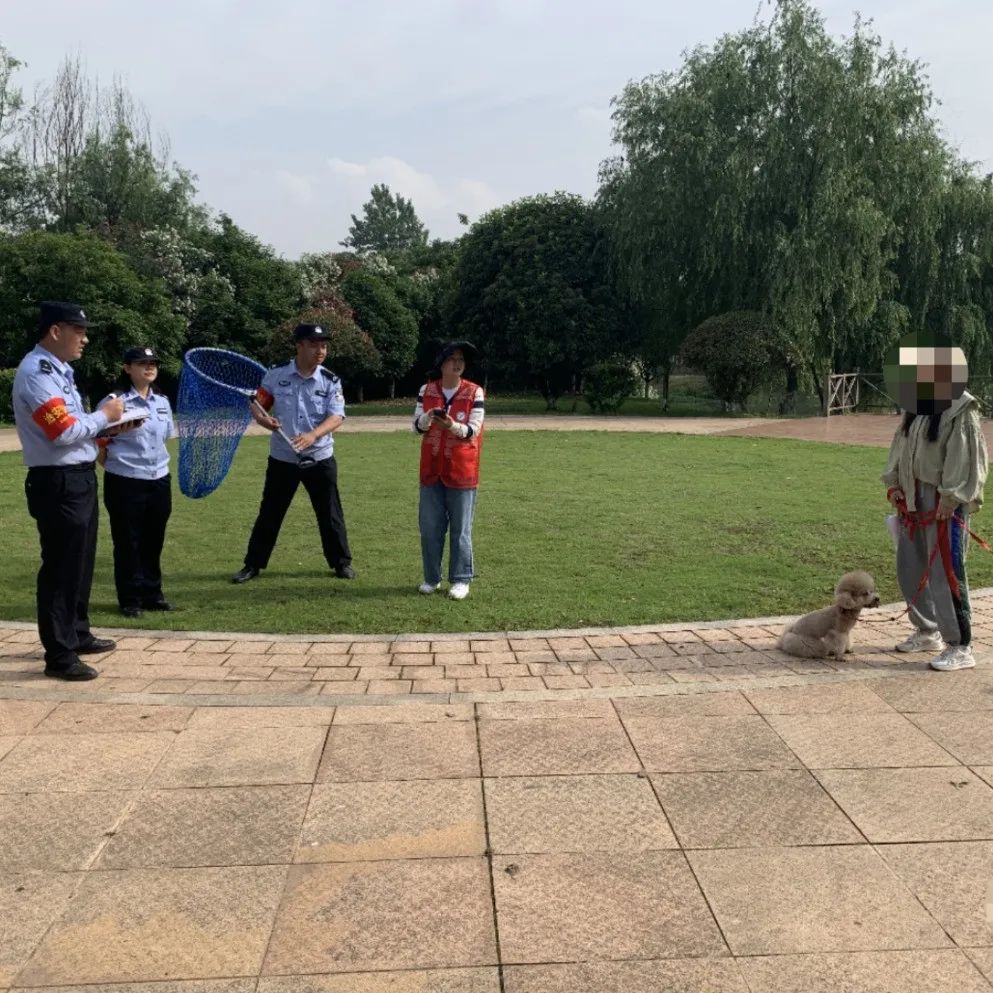 文明城市因不文明养犬被处罚,抚顺整治不文明养犬