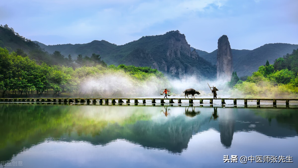 养生与治疗的区别,养生的另外说法